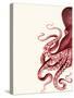 Octopus Red and White a-Fab Funky-Stretched Canvas