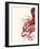 Octopus Red and White a-Fab Funky-Framed Art Print