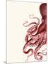 Octopus Red and White a-Fab Funky-Mounted Art Print