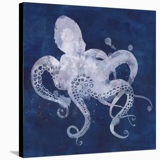 Octopus Shadow I-Grace Popp-Stretched Canvas