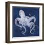 Octopus Shadow I-Grace Popp-Framed Art Print