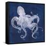 Octopus Shadow I-Grace Popp-Framed Stretched Canvas