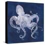 Octopus Shadow I-Grace Popp-Stretched Canvas