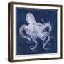 Octopus Shadow I-Grace Popp-Framed Art Print