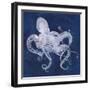 Octopus Shadow I-Grace Popp-Framed Art Print