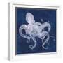 Octopus Shadow I-Grace Popp-Framed Art Print