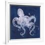 Octopus Shadow I-Grace Popp-Framed Art Print