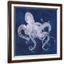 Octopus Shadow I-Grace Popp-Framed Art Print