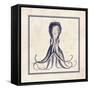 Octopus Sq-N. Harbick-Framed Stretched Canvas