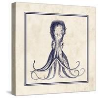 Octopus Sq-N. Harbick-Stretched Canvas