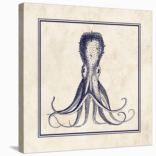 Octopus Sq-N. Harbick-Stretched Canvas