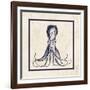 Octopus Sq-N. Harbick-Framed Art Print