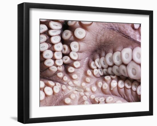 Octopus Tentacles-null-Framed Photographic Print