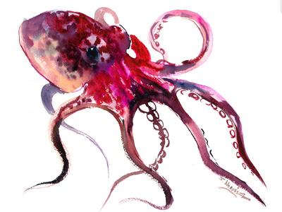 https://imgc.allpostersimages.com/img/posters/octopus_u-L-F9JR1S0.jpg?artPerspective=n