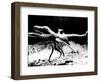 Octopus-null-Framed Photographic Print