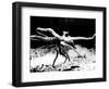 Octopus-null-Framed Photographic Print