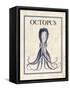 Octopus-N. Harbick-Framed Stretched Canvas