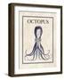 Octopus-N. Harbick-Framed Art Print