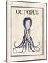 Octopus-N. Harbick-Mounted Art Print