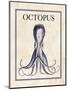 Octopus-N. Harbick-Mounted Art Print