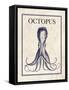 Octopus-N. Harbick-Framed Stretched Canvas