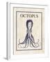 Octopus-N. Harbick-Framed Art Print