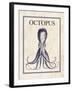 Octopus-N. Harbick-Framed Art Print