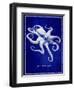 Octopus-GI ArtLab-Framed Premium Giclee Print