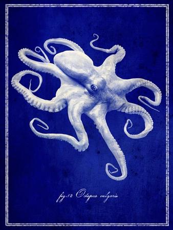 https://imgc.allpostersimages.com/img/posters/octopus_u-L-Q1I2N340.jpg?artPerspective=n