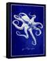 Octopus-GI ArtLab-Framed Stretched Canvas