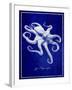 Octopus-GI ArtLab-Framed Giclee Print