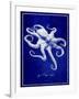 Octopus-GI ArtLab-Framed Giclee Print