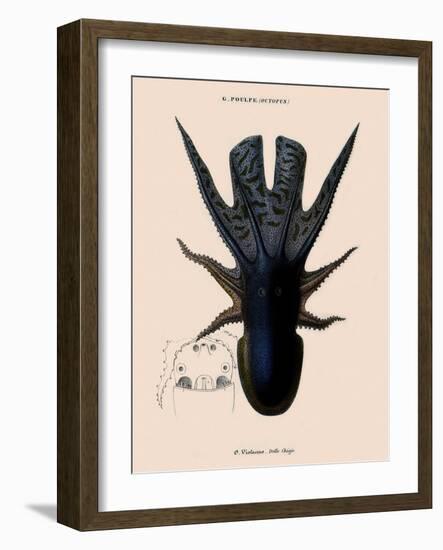 Octopus-Emile Theophile-Framed Giclee Print