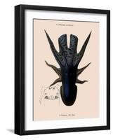 Octopus-Emile Theophile-Framed Giclee Print