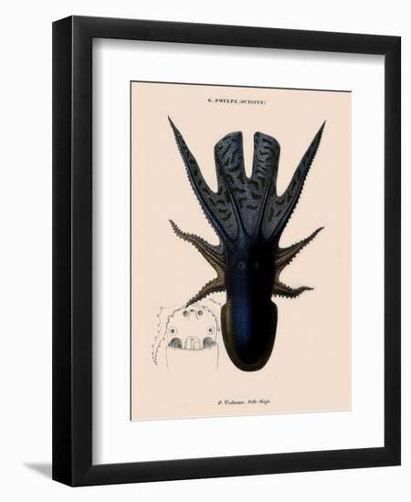 Octopus-Emile Theophile-Framed Premium Giclee Print