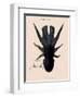 Octopus-Emile Theophile-Framed Premium Giclee Print