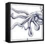 Octopus-The Saturday Evening Post-Framed Stretched Canvas