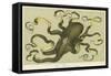 Octopus-null-Framed Stretched Canvas