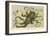 Octopus-null-Framed Art Print