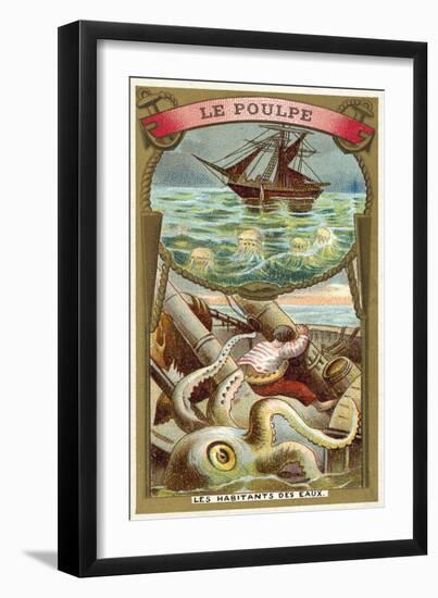 Octopus-null-Framed Premium Giclee Print