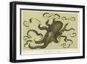 Black Frame