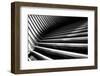 Oculus Nº6-Guilherme Pontes-Framed Photographic Print