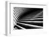 Oculus Nº6-Guilherme Pontes-Framed Photographic Print