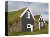 Od Traditional Farm, Skaftafell, Iceland, Polar Regions-null-Stretched Canvas