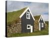 Od Traditional Farm, Skaftafell, Iceland, Polar Regions-null-Stretched Canvas