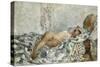 Odalisque, 1925-Henri Lebasque-Stretched Canvas