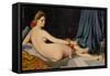 Odalisque-Jean-Auguste-Dominique Ingres-Framed Stretched Canvas