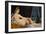 Odalisque-Jean-Auguste-Dominique Ingres-Framed Giclee Print