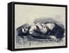 Odalisque-George Wesley Bellows-Framed Stretched Canvas