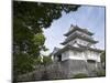 Odawara Castle, a Hojo Clan Stronghold Until Destroyed Then Rebuilt in the 1960S, Japan-null-Mounted Photographic Print